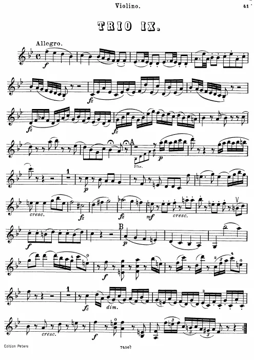 Violin