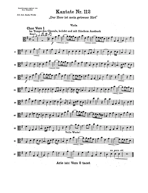 Violas