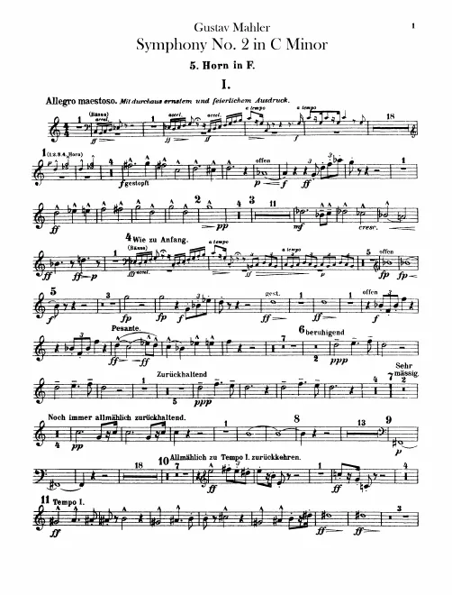 Horn 5 (F)