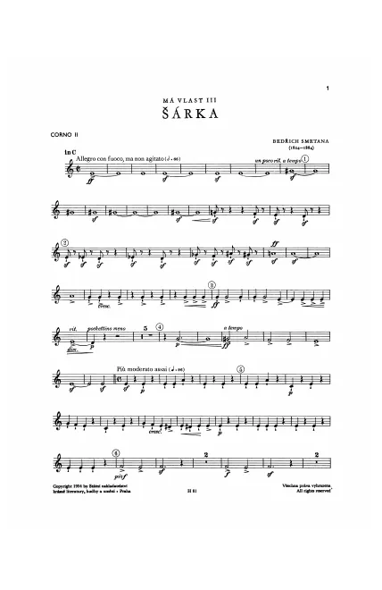Horn 2 (C)