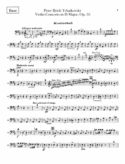 Basses