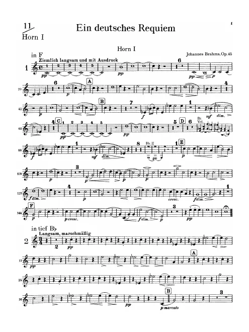 Horn 1 (F/B basso/D/E/C)