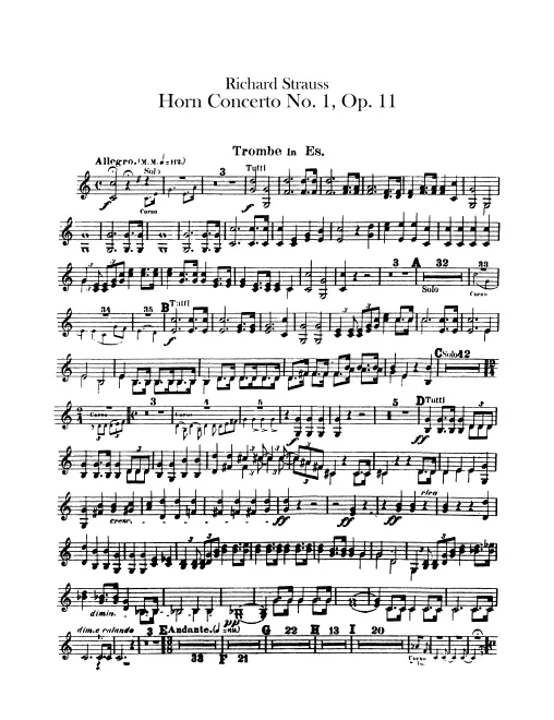 Trumpet 1/2 (E)