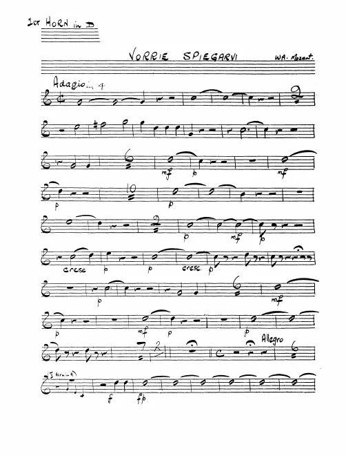 Horn 1 (D)