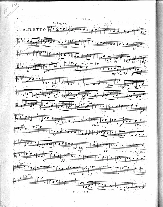 Viola