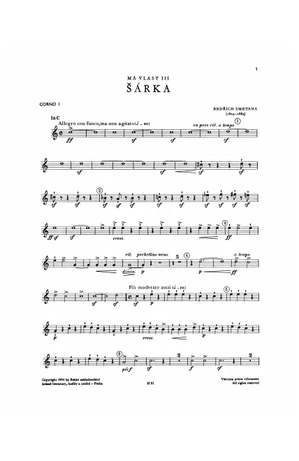 Horn 1 (C)