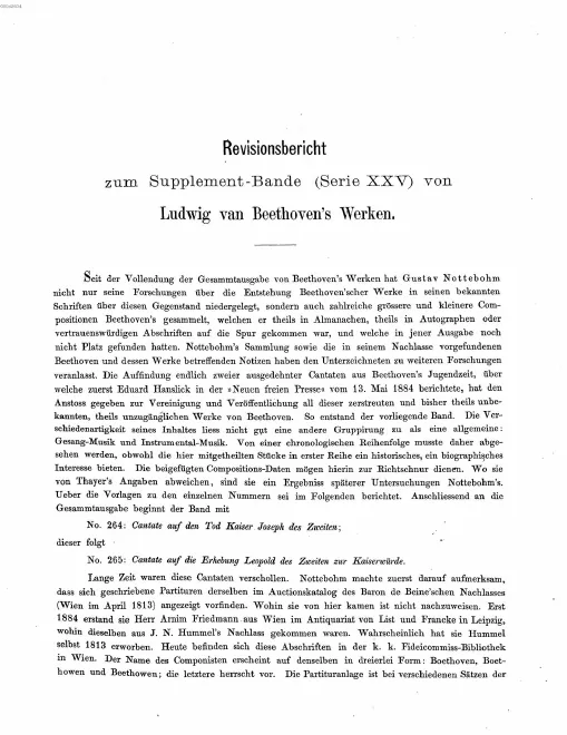 25. Revisionsbericht