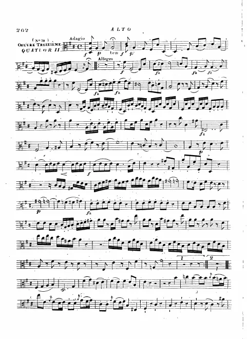 Viola