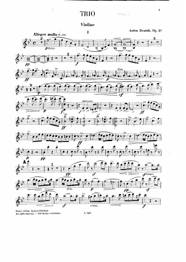 Violin