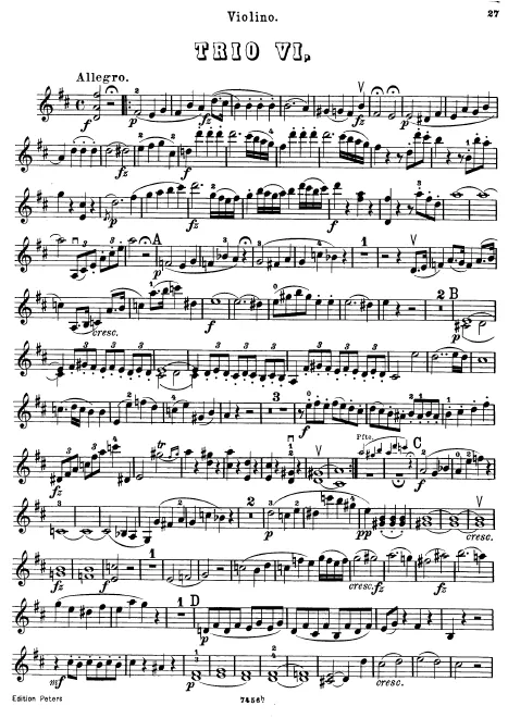 Violin