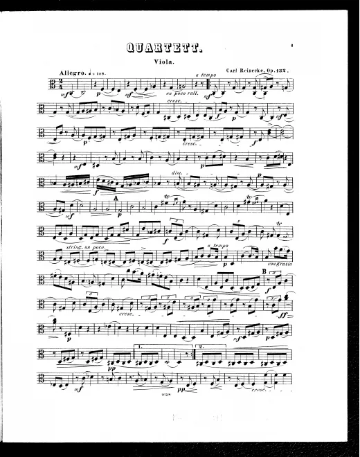 Viola