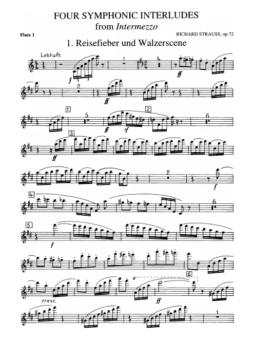Flute 1