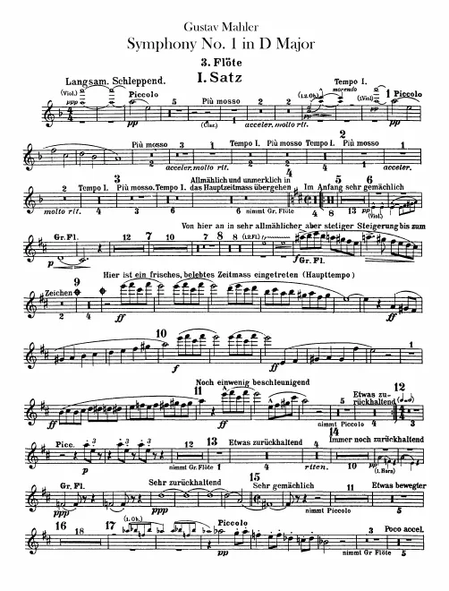Flute 3/Piccolo 2