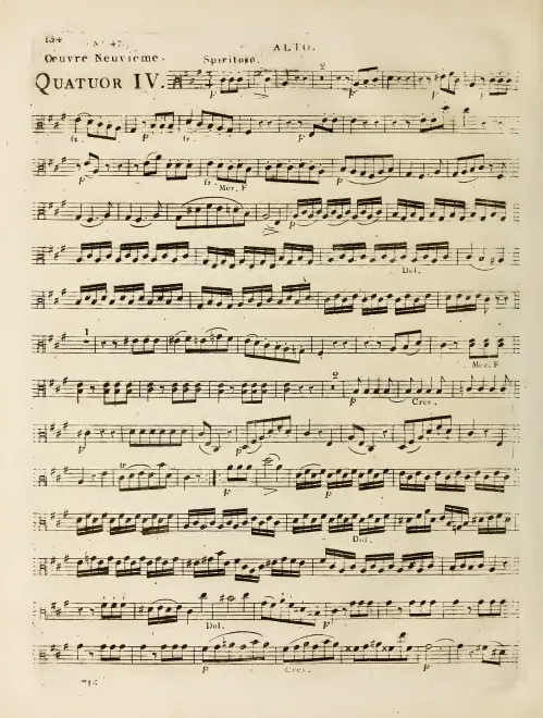 Viola