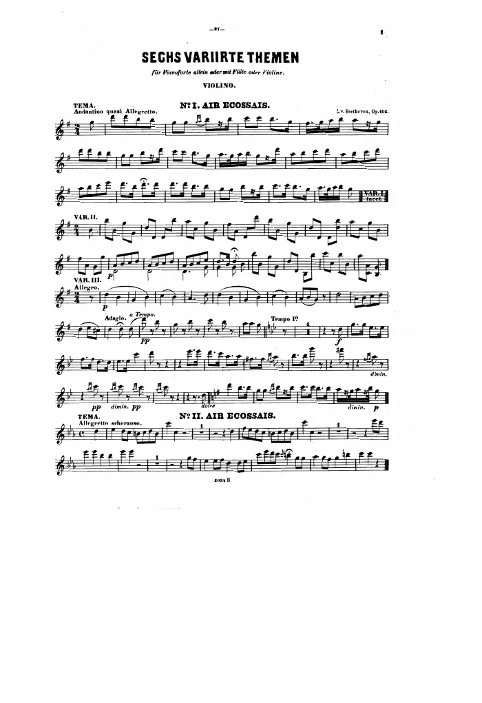 Violin