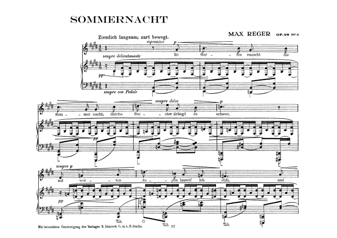 5. Sommernacht
