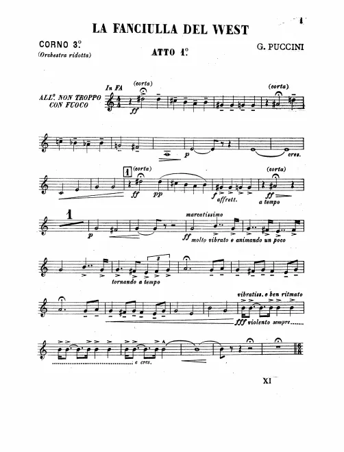 Horn 3