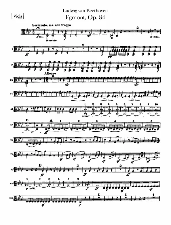 Violas