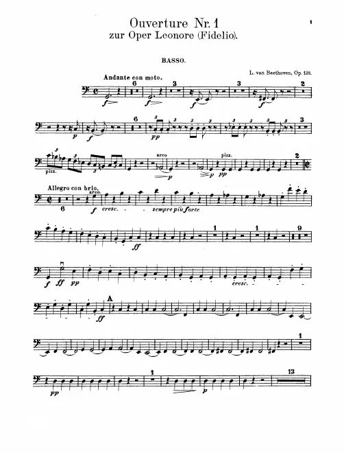 Basses