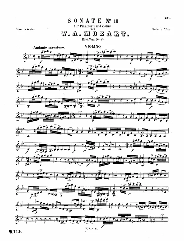 Violin