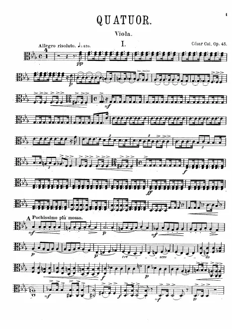 Viola