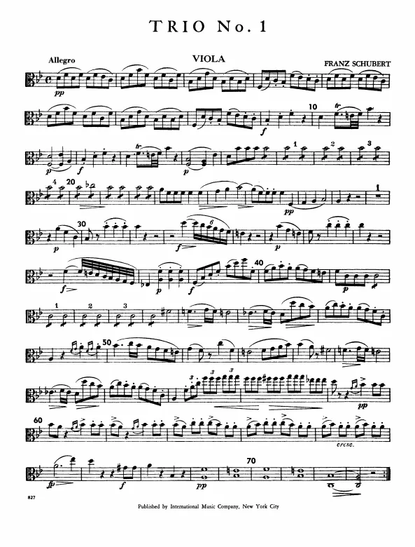 Viola