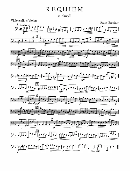 Cellos/Basses