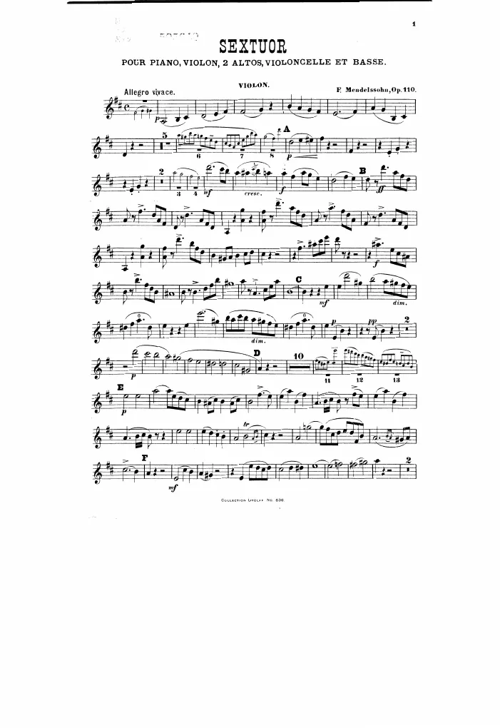Violin