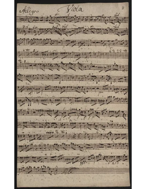 Violas
