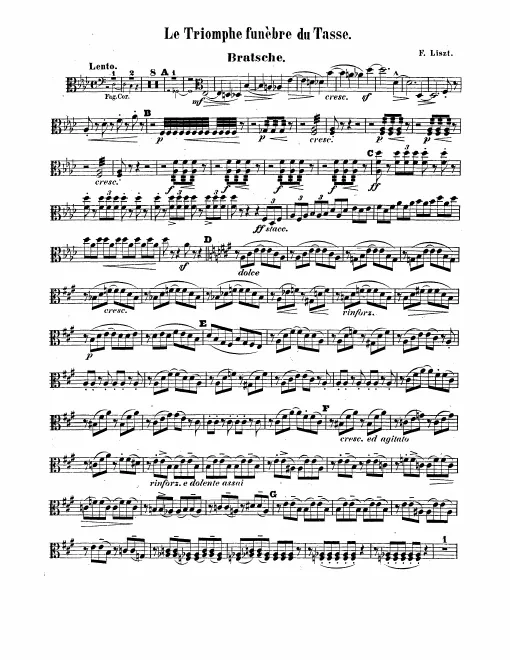 Violas