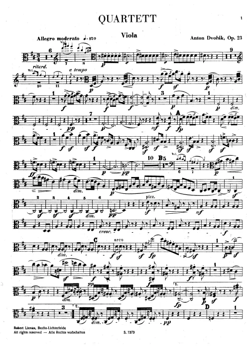 Viola