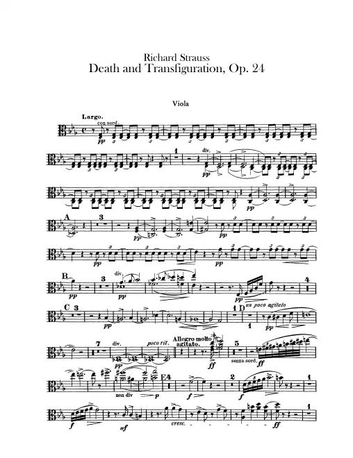 Violas