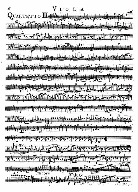 Viola