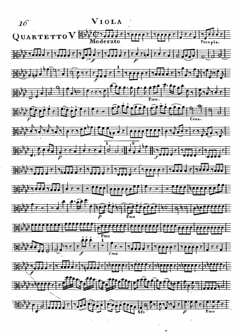 Viola