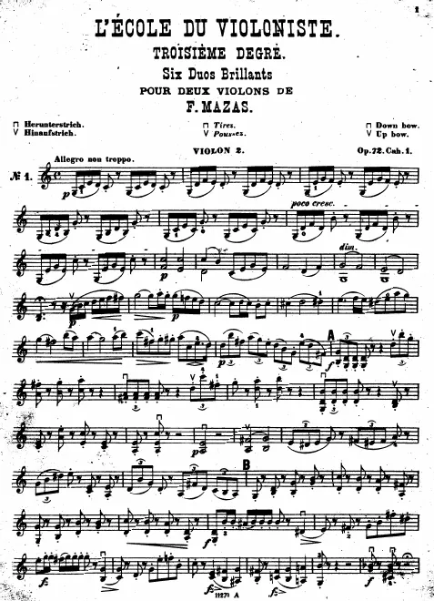 Violin 2
