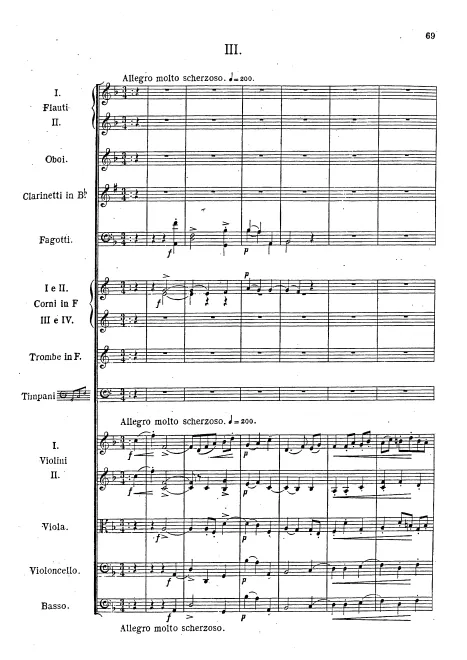 III. Allegro molto scherzoso