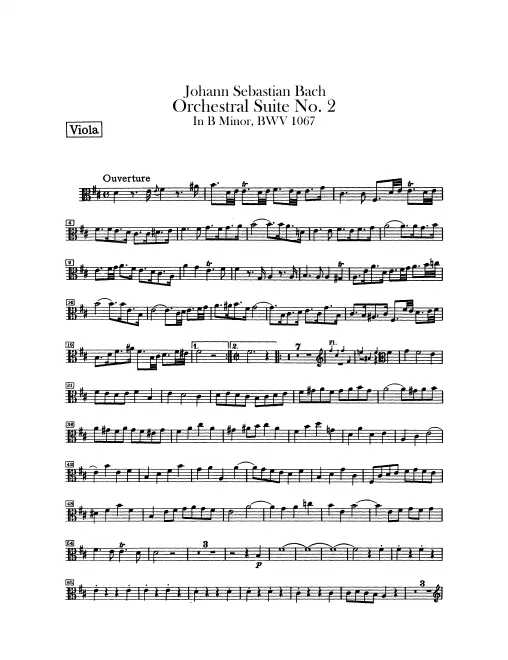 Violas