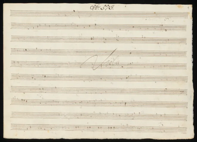 Viola