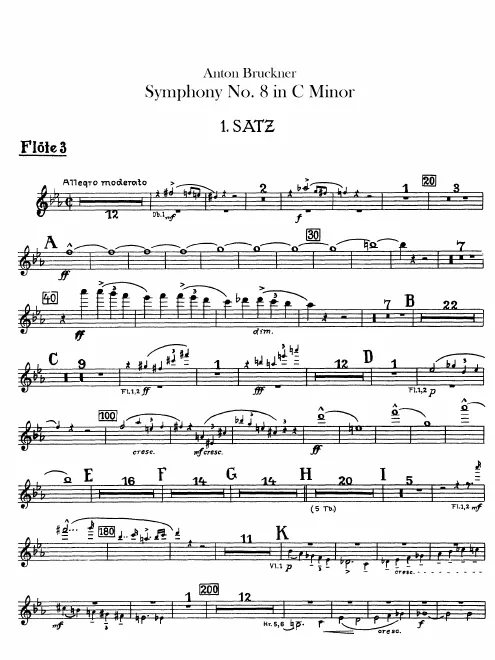 Flute 3