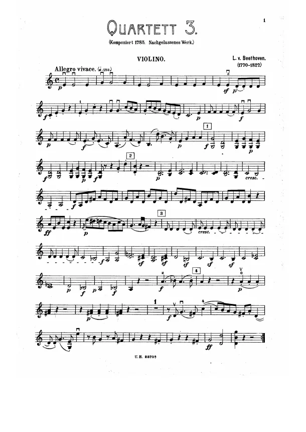 Violin