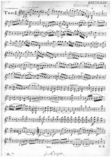 Violin