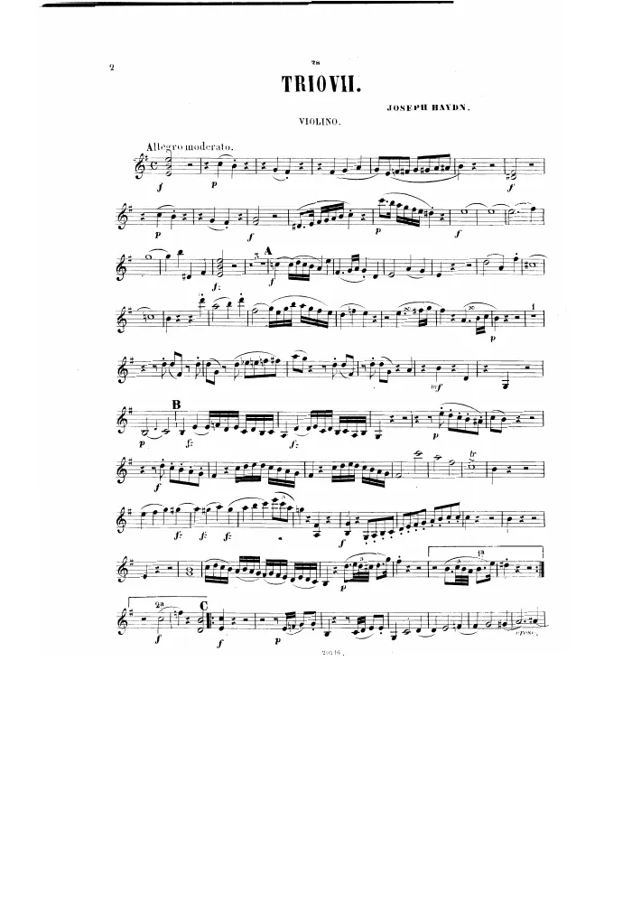 Violin