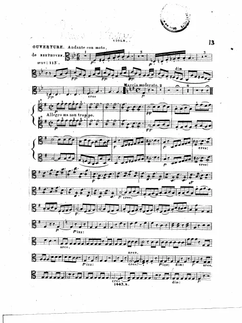 Violas