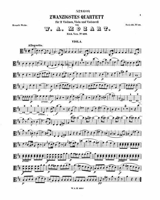 Viola