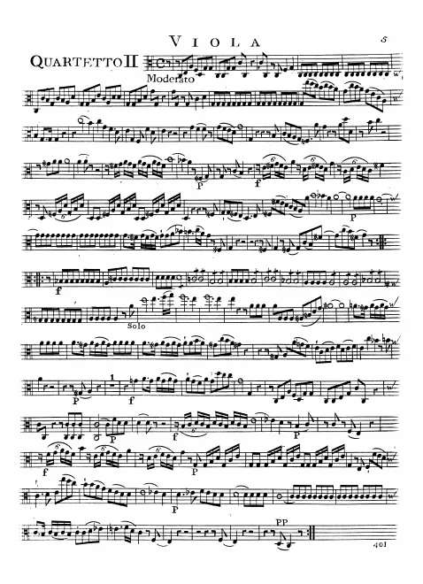 Viola