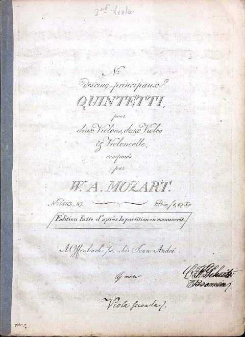 Viola 2