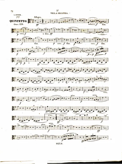 Viola 2