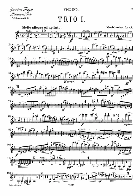 Violin