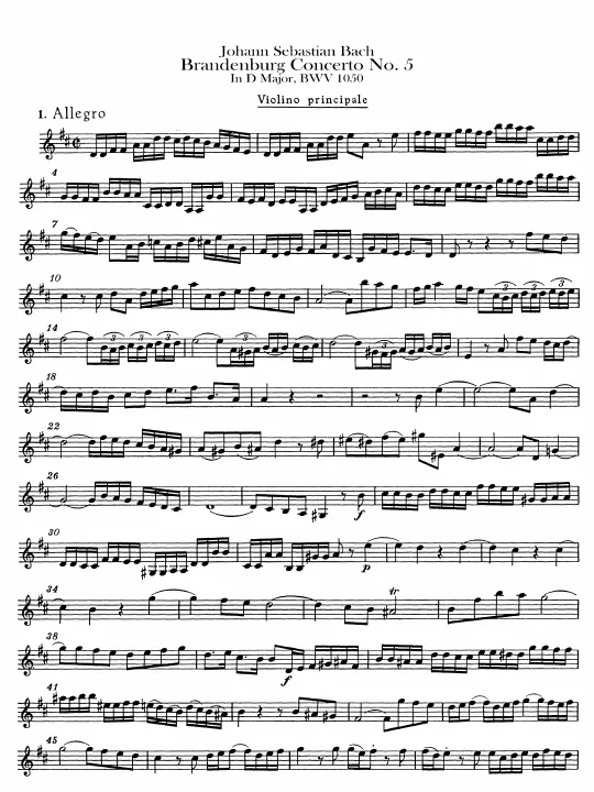 Violin Solo