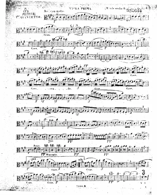 Viola 1
